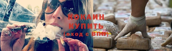 шишки Армянск