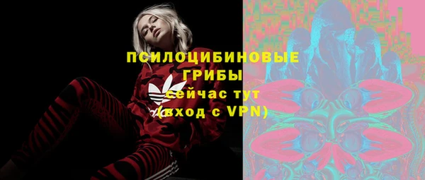 шишки Армянск