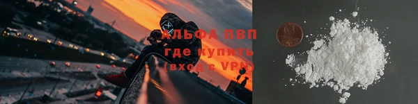 эйфоретик Арсеньев