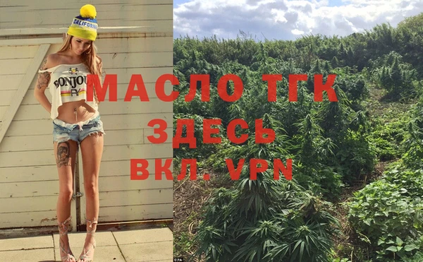 дмт Аркадак