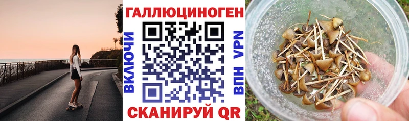 Галлюциногенные грибы MAGIC MUSHROOMS  Губкинский 
